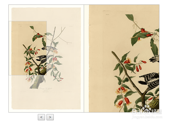 jquery模糊放大镜效果