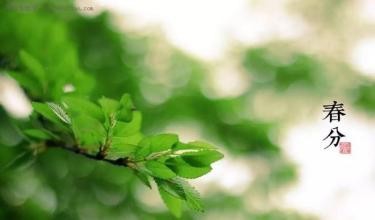 怎样才能静心