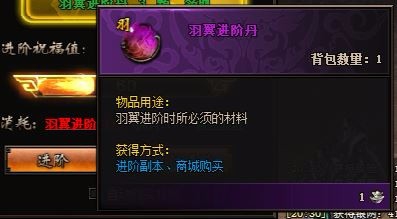 圣火明尊羽翼如何提升？