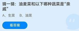 油麦菜和以下哪种蔬菜是