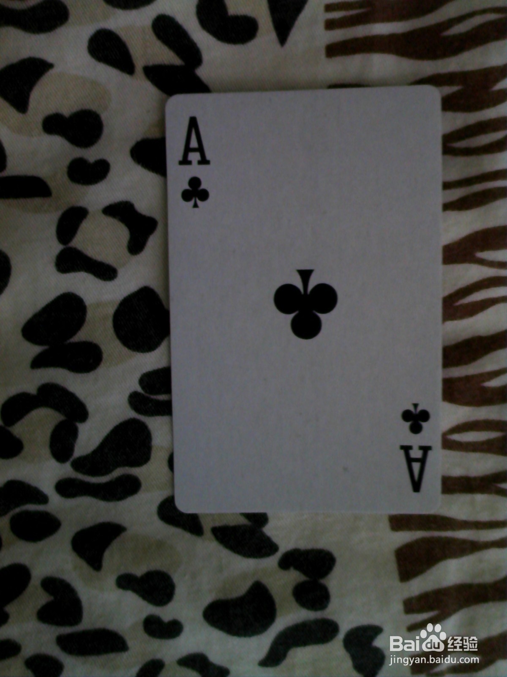 命运数·天赋数