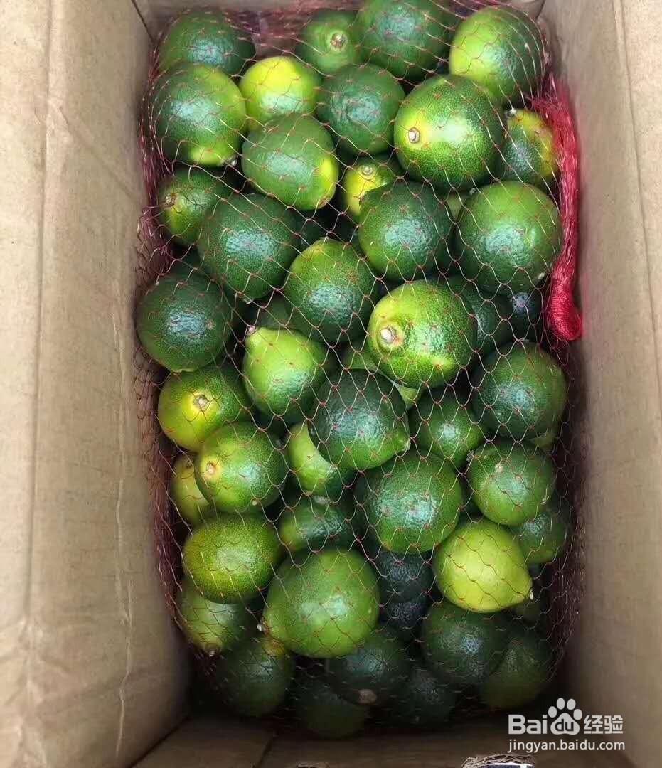 夏天消暑美食——青桔银耳凤爪