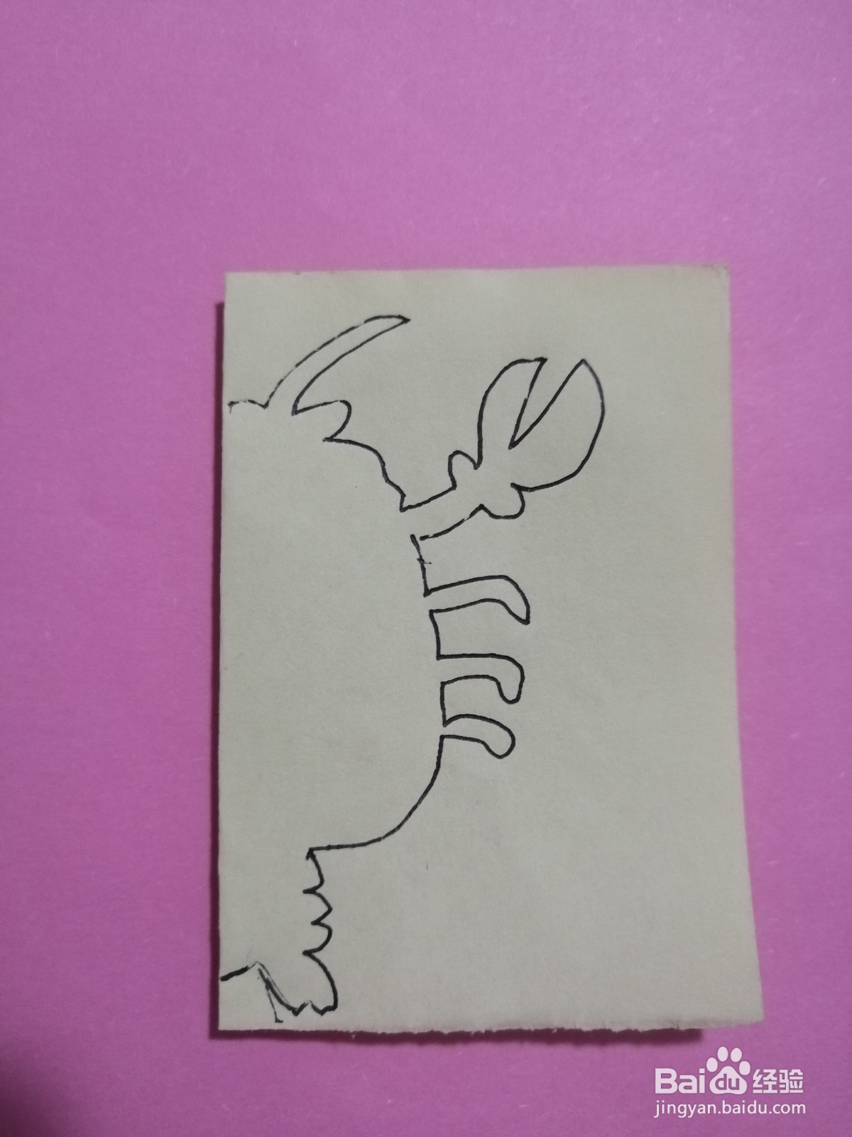 简单的龙虾怎么剪