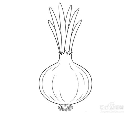 洋葱怎么画呢