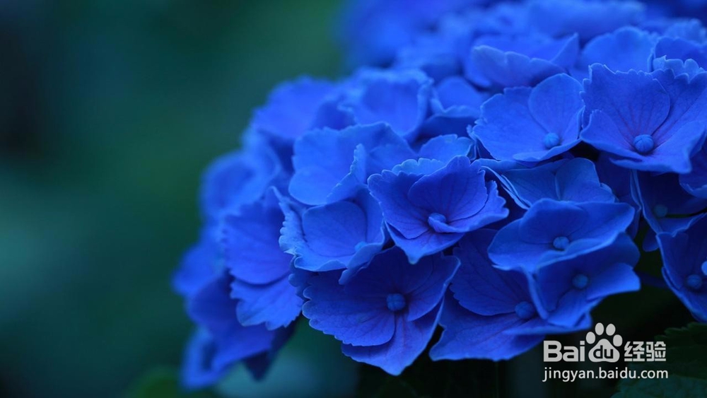 怎样修改照片颜色