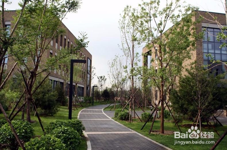 中央财经大学2018心理学考研专硕参考书目有哪些