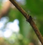 危险无处不在，提高防灾避险意识