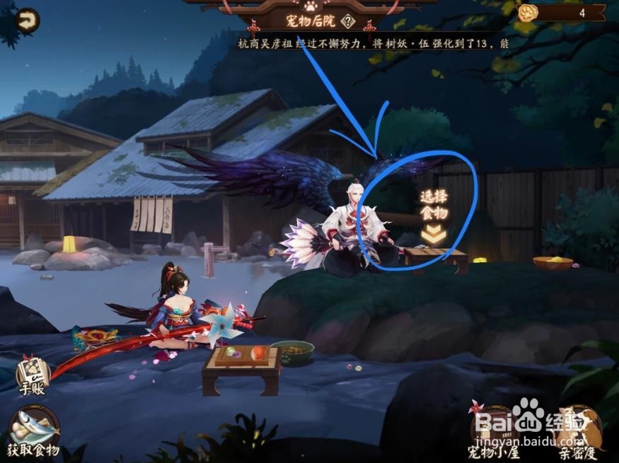 阴阳师的宠物玩法怎么玩？