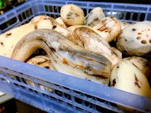 家乡味凉拌炖藕的美味做法