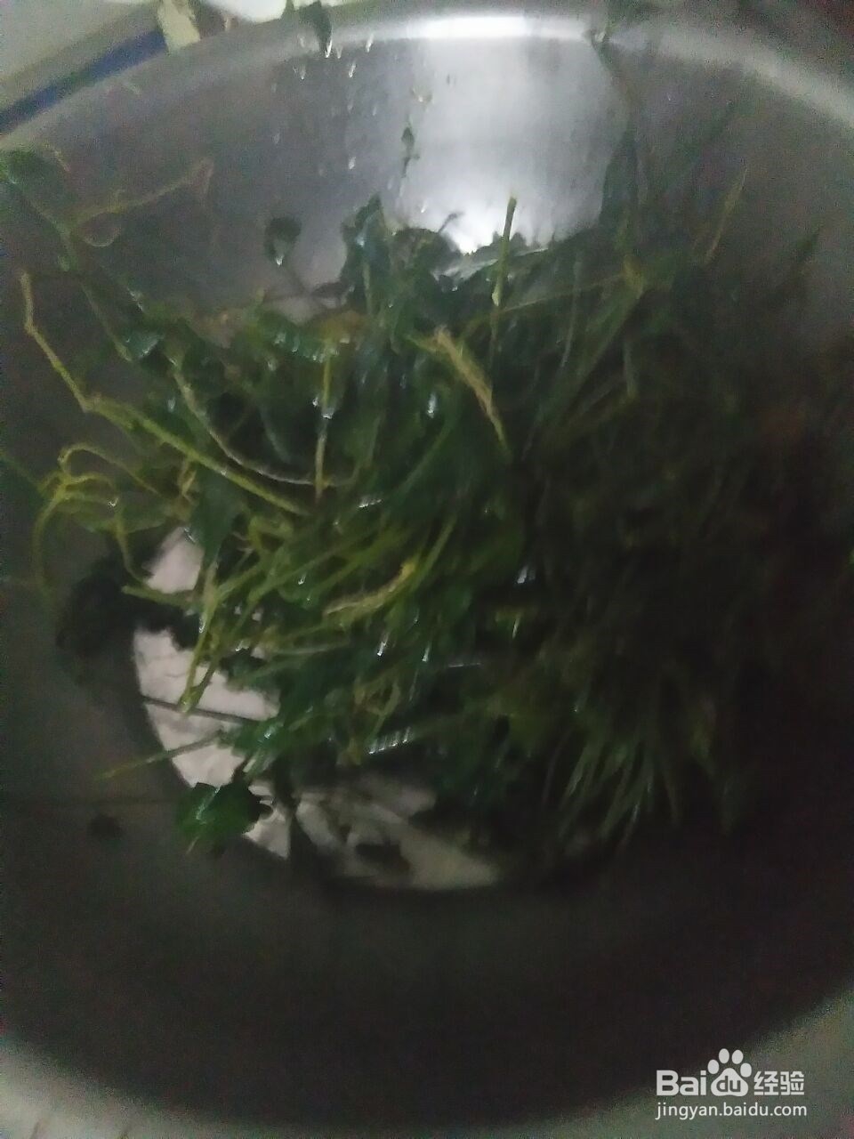 枸干豆腐凉茶