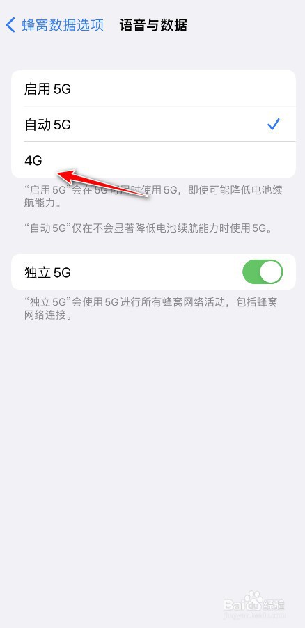 苹果怎么设置4G网络