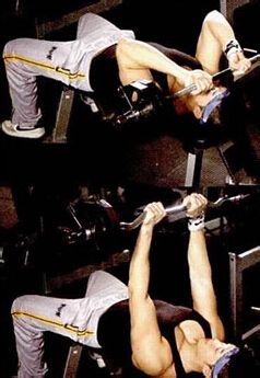 怎样练出完美肌肉：[7]肱三头肌