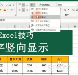 如何将文字竖向显示