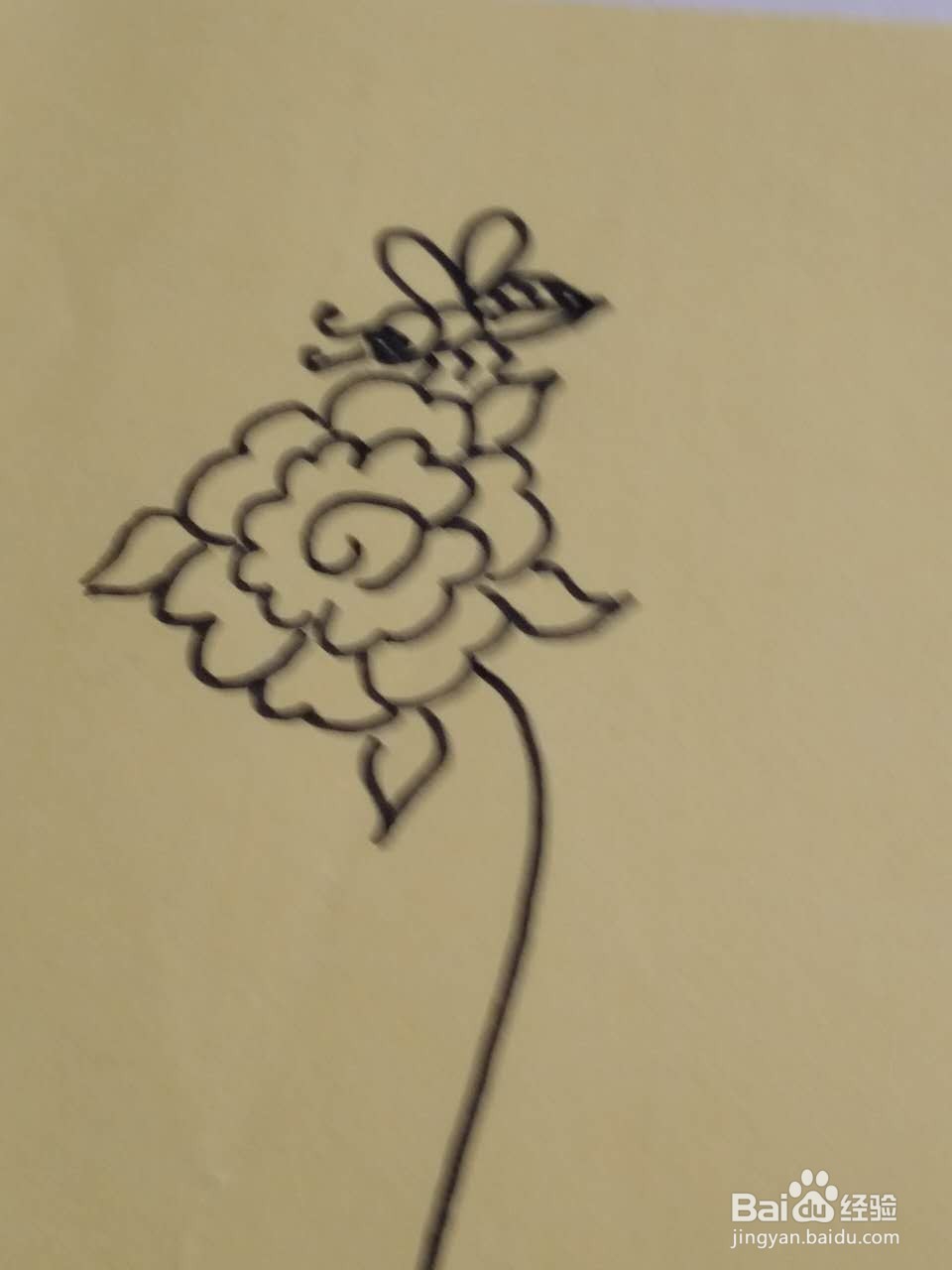勤劳的小蜜蜂简笔画画法