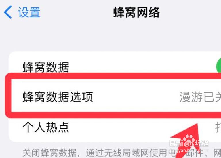 如何启用苹果手机的低数据模式
