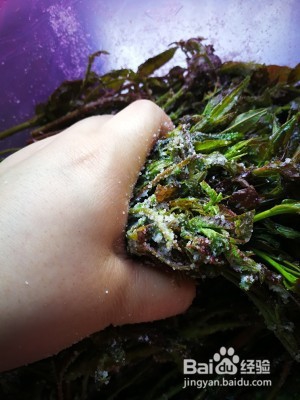 健康养生佳品腌香椿芽（简单易学）的做法