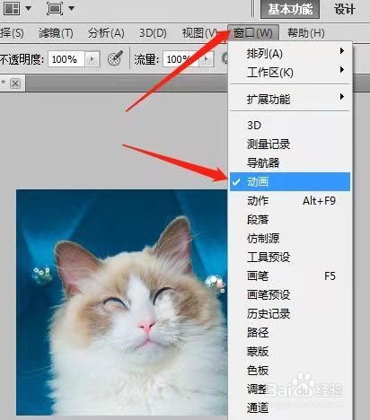 用PS制作动态猫咪表情包
