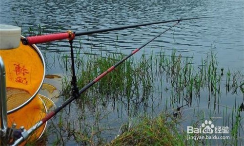 钓鱼要注意哪些地方？