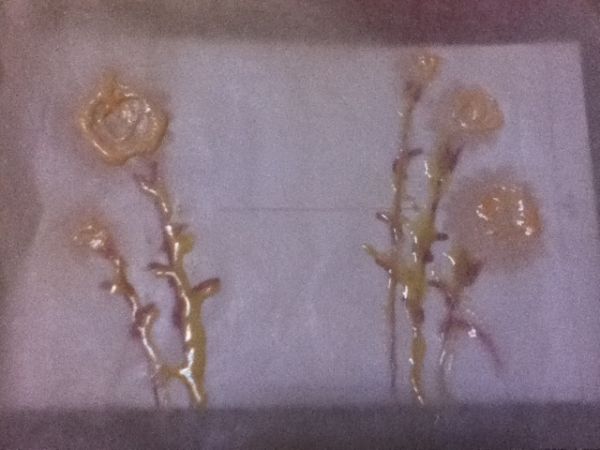 康乃馨彩绘蛋糕卷