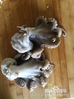 美味的酱焖八爪鱼