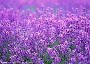 失眠了应该怎么办？