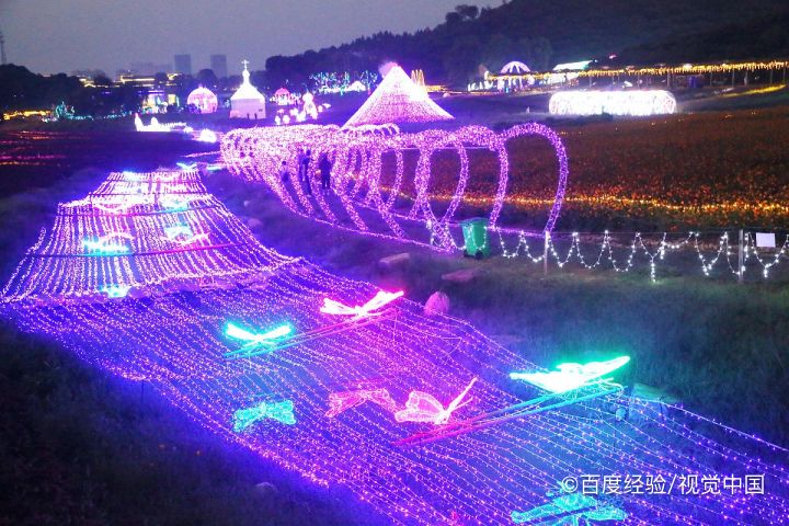 溧阳灯会怎么预约