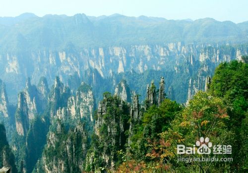 张家界散客自助游之好处