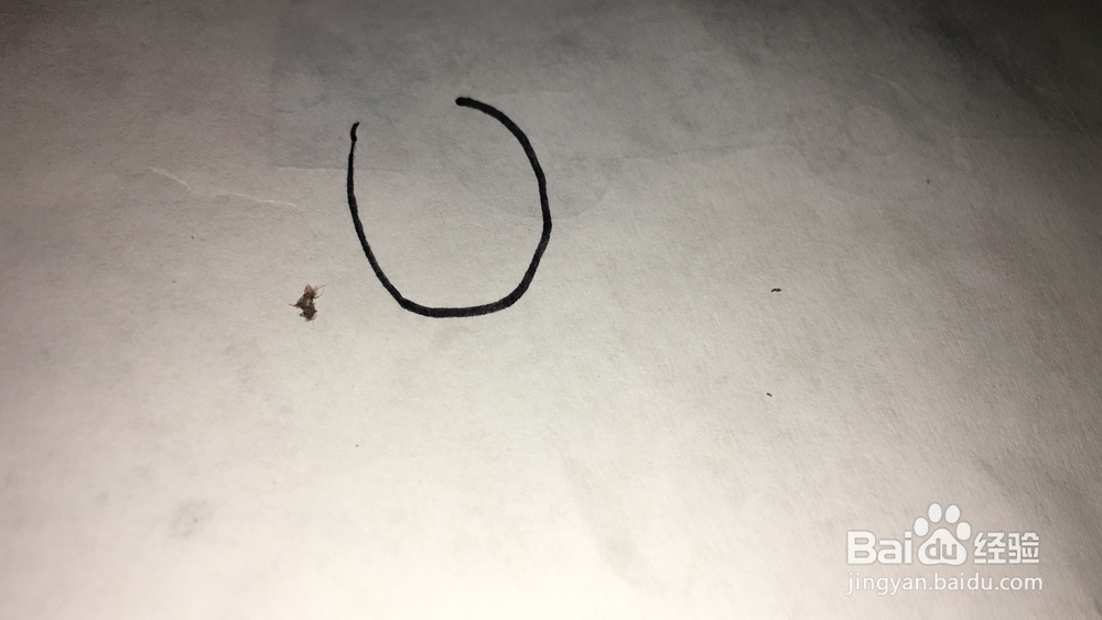 山羊儿童简笔画教程