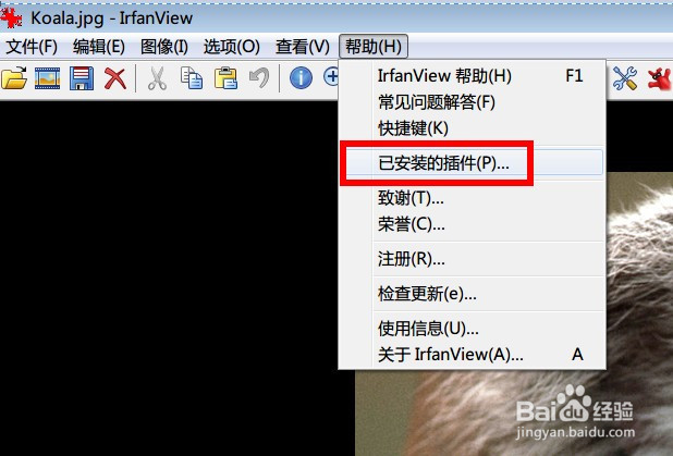 如何下载安装 IrfanView 插件( PlugIns )