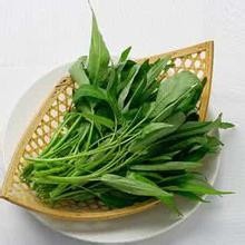 空心菜的一种简单做法