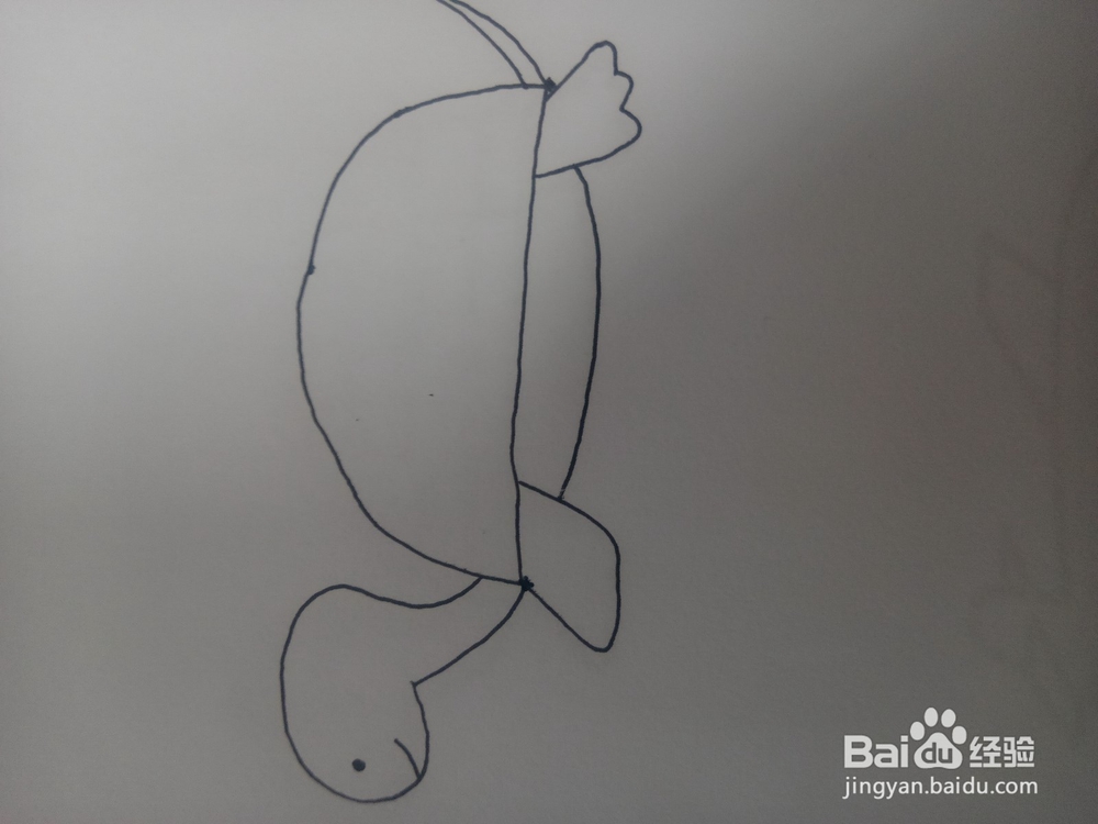 小乌龟简笔画教程