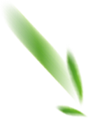 PS端午节字体设计