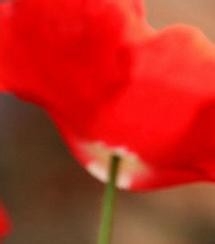 健康生活小知识10