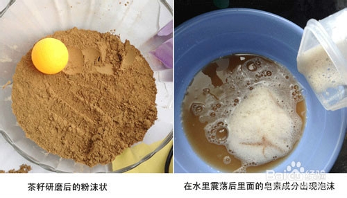 <b>如何使用茶籽粉代替洗洁精洗碗</b>