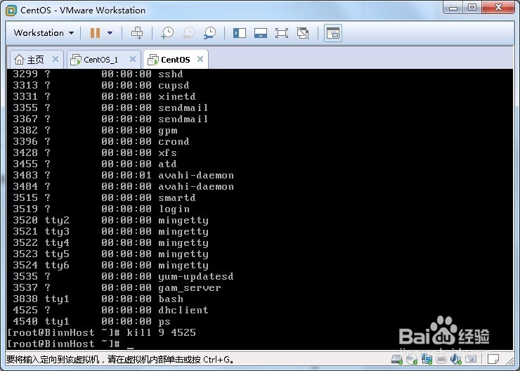 教你在linux怎么重获ip地址