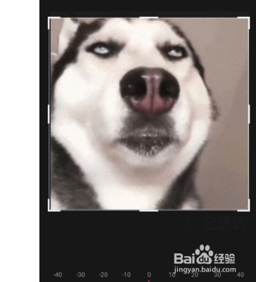 如何导出抖音表情?