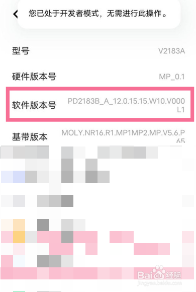 iqooneo5的开发者选项在哪里