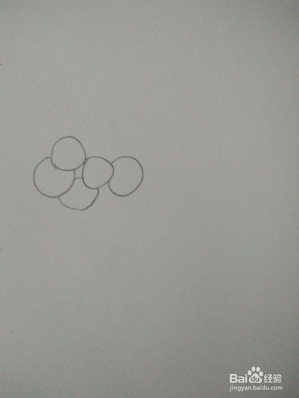 如何画葡萄的简笔画