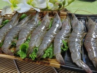 夏天出去郊游要注意什么?