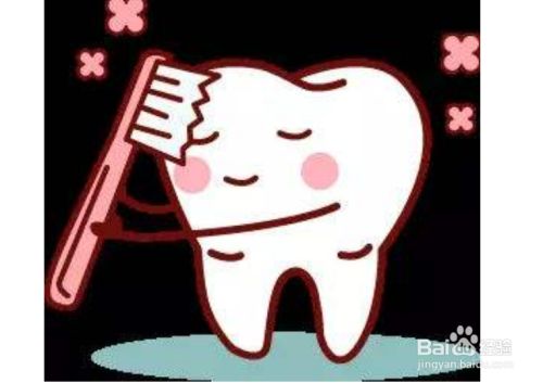 能保护牙齿的刷牙方法 百度经验
