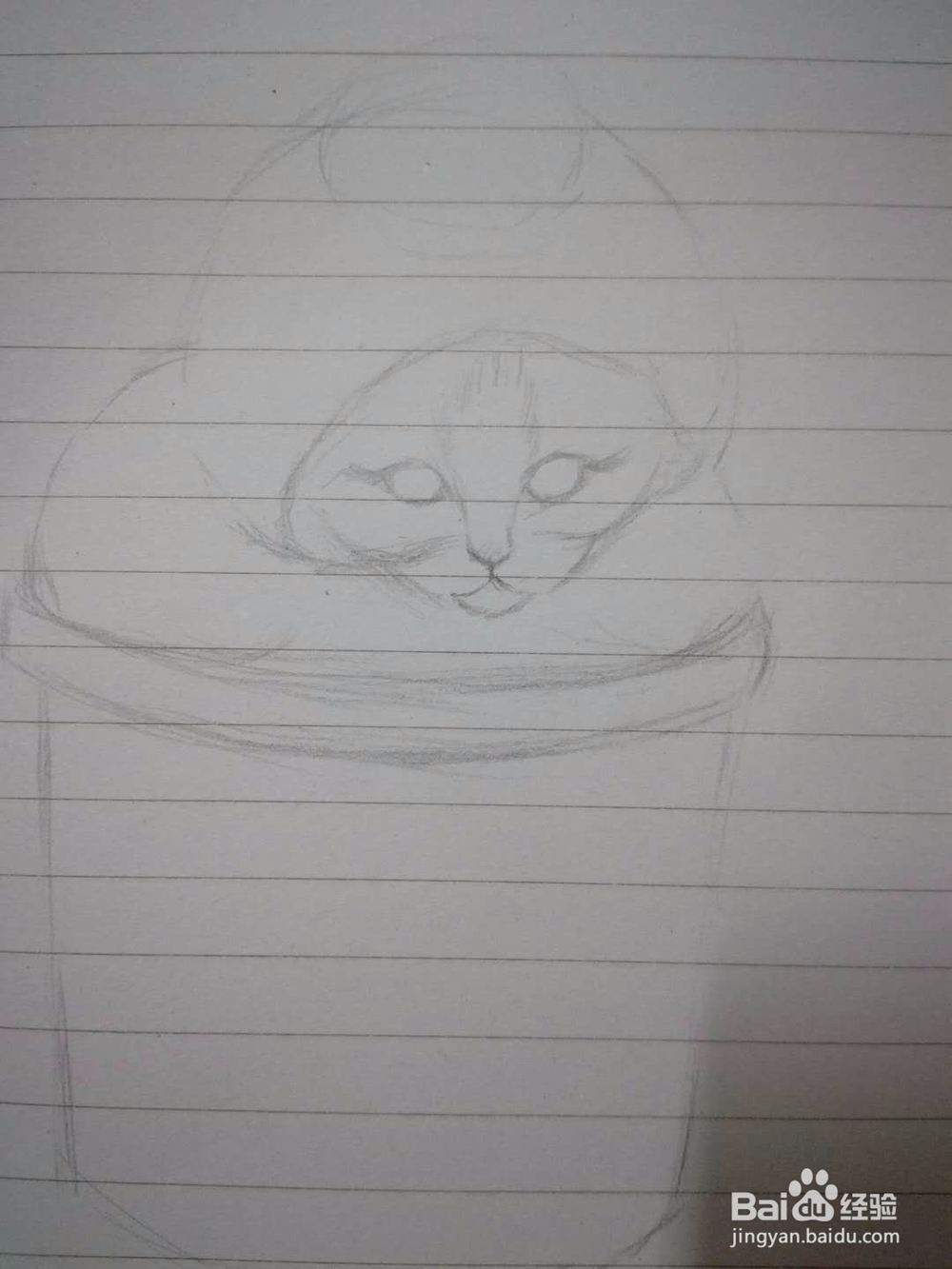 《猫咪盆载》手绘插画教程
