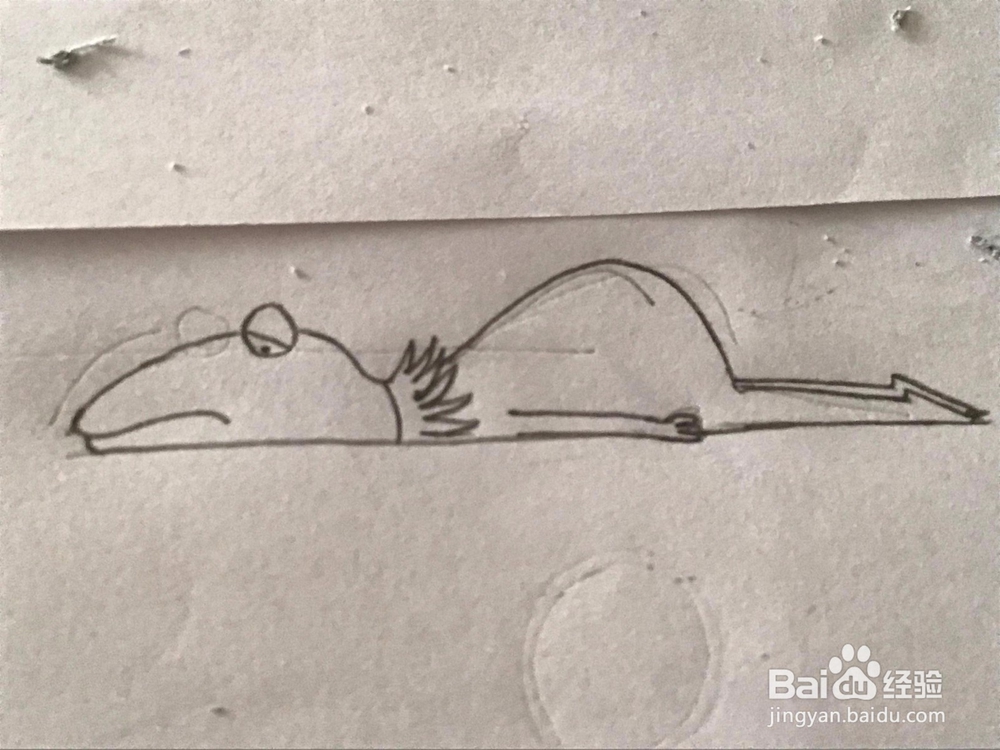 懒人青蛙 简笔画 详细绘画步骤教程!