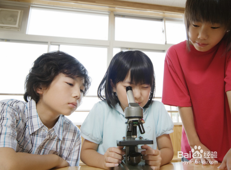 培养孩子的兴趣爱好是为了什么?