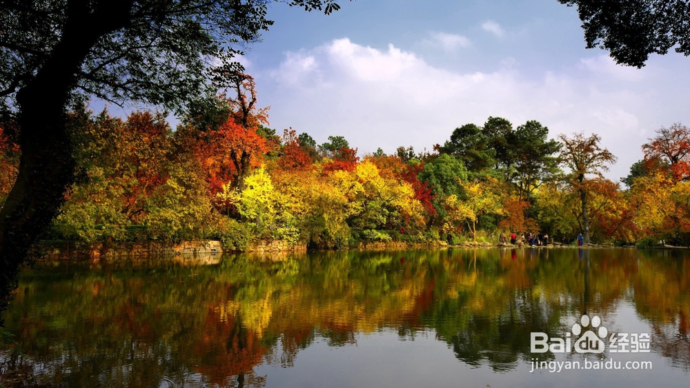 逃离人海!十月这些小众景点人少景美!
