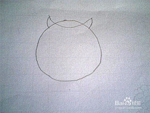 简笔画猫头鹰这样画