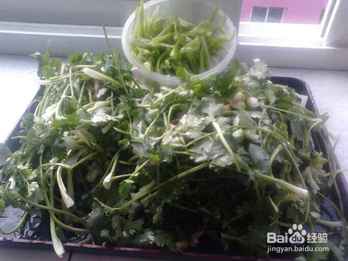 香菜辣椒小咸菜的做法