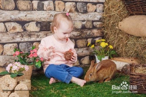 <b>城市家庭如何养可爱的小兔子</b>