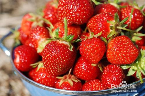 草莓的销售新方法