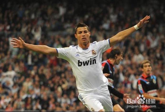 世界杯扩军40怎么分组