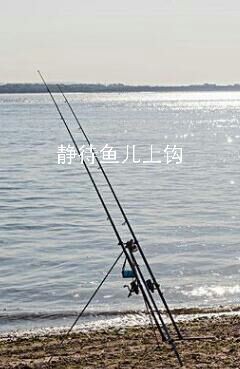 海钓怎么甩竿